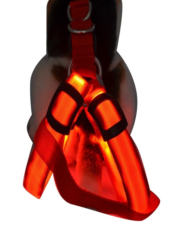 Futaba Dog LED Harness Flashing Light 3 Mode - Red - Extra Large - Image 3